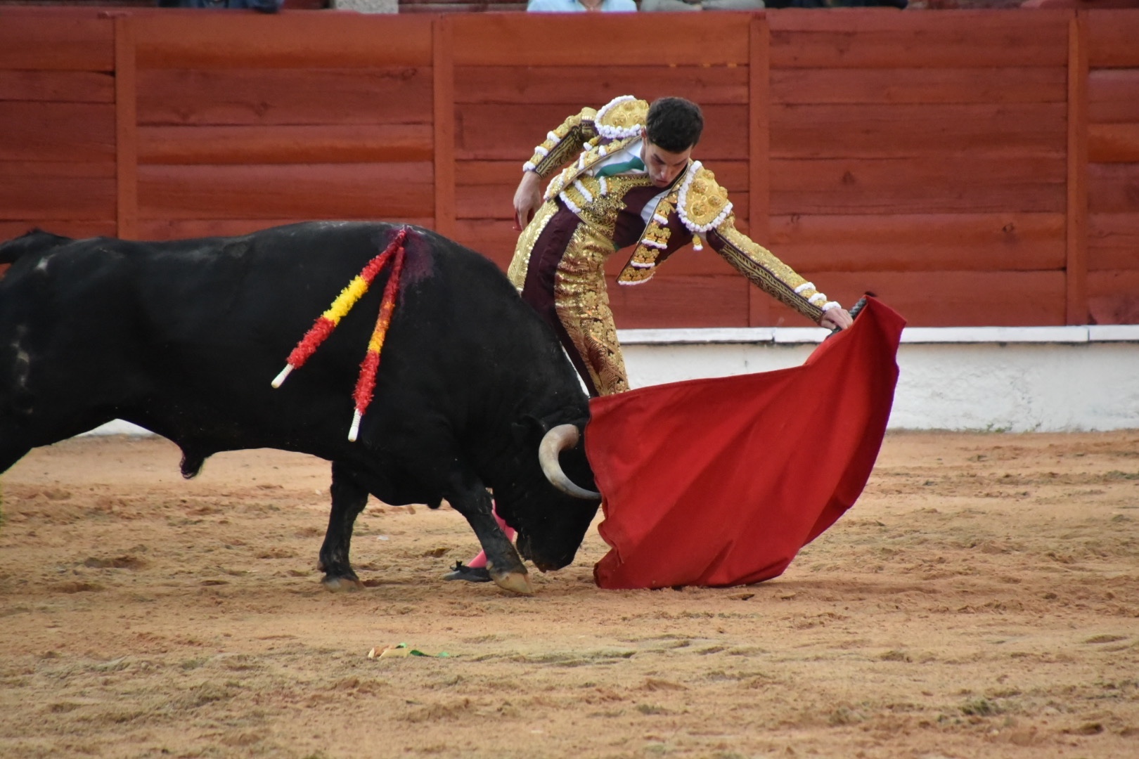 Imagen 5