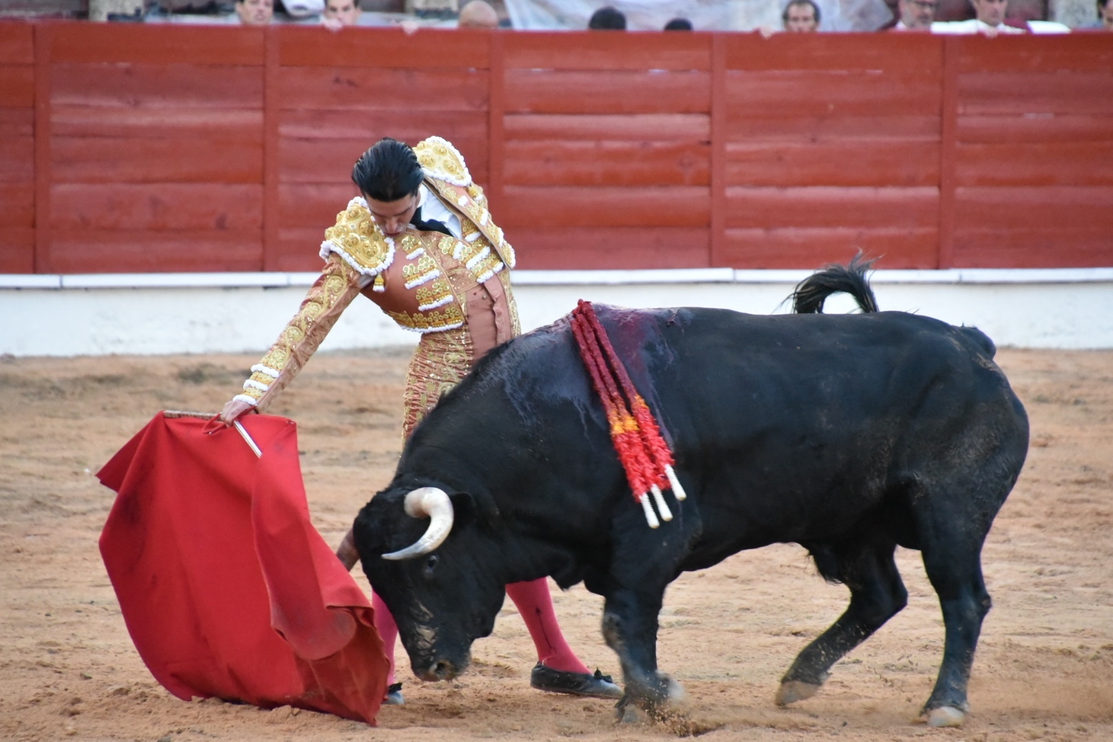 Imagen 6