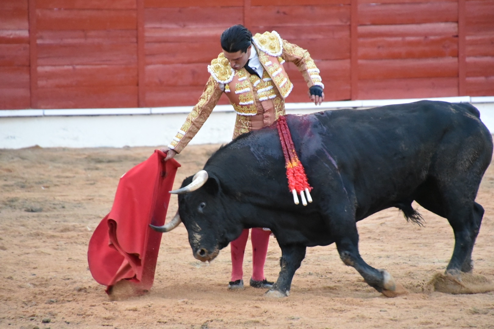 Imagen 7