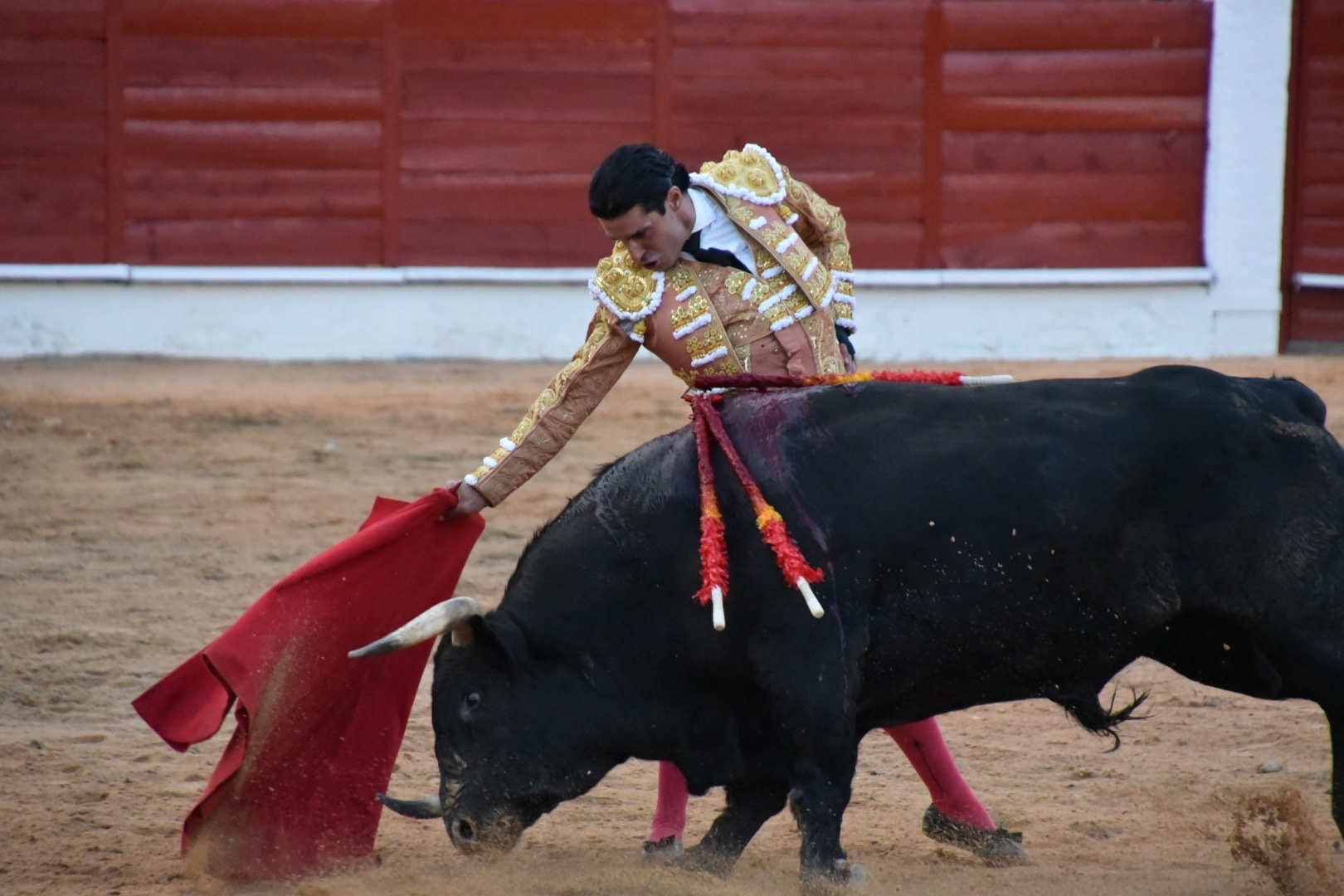 Imagen 8