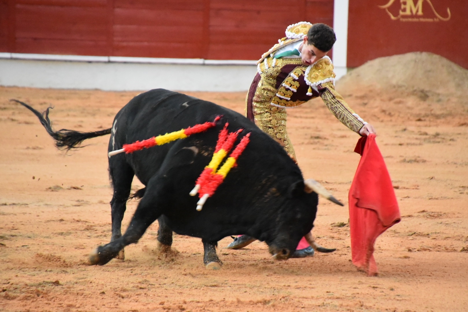 Imagen 9