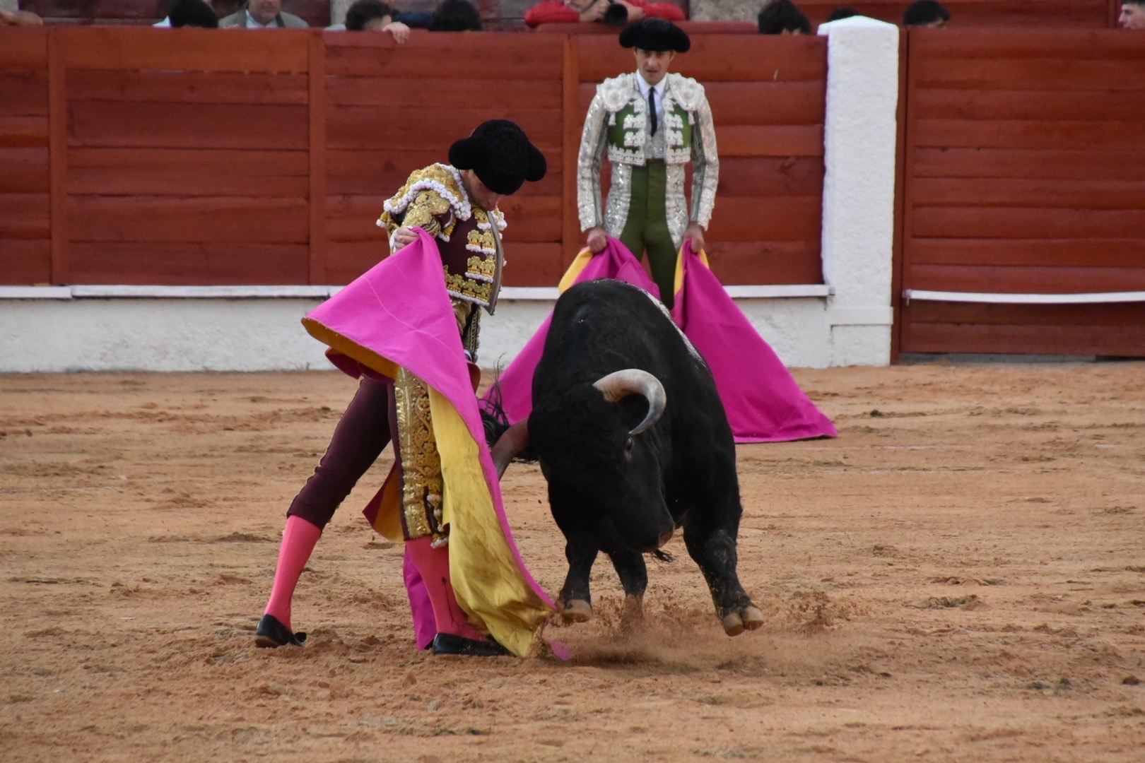 Imagen 10