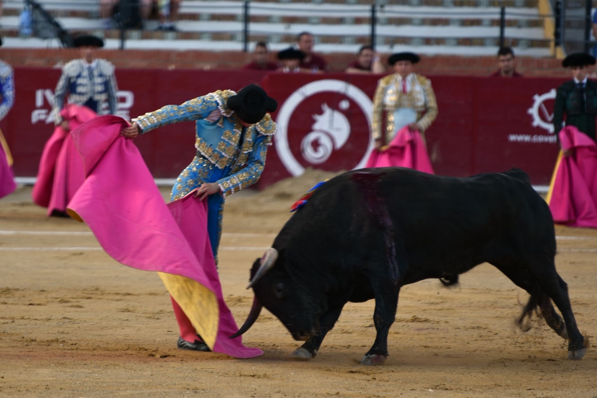 Imagen 1