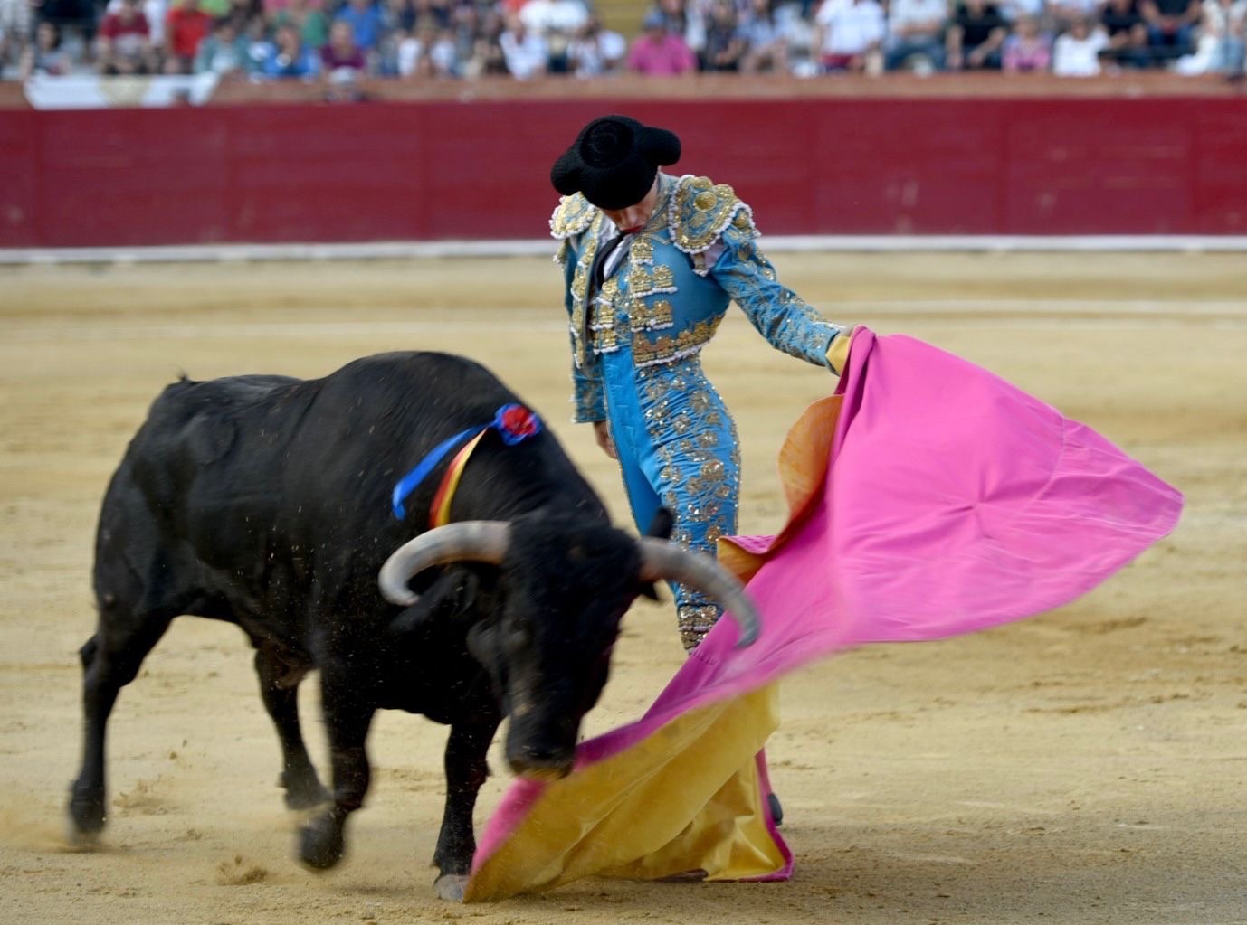 Imagen 2