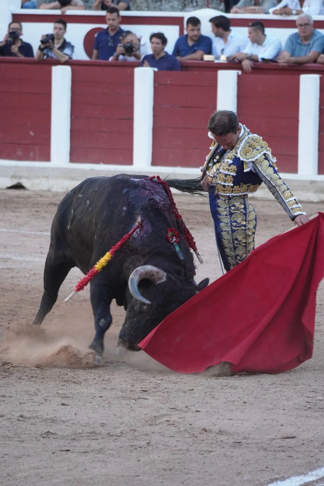 Imagen 7