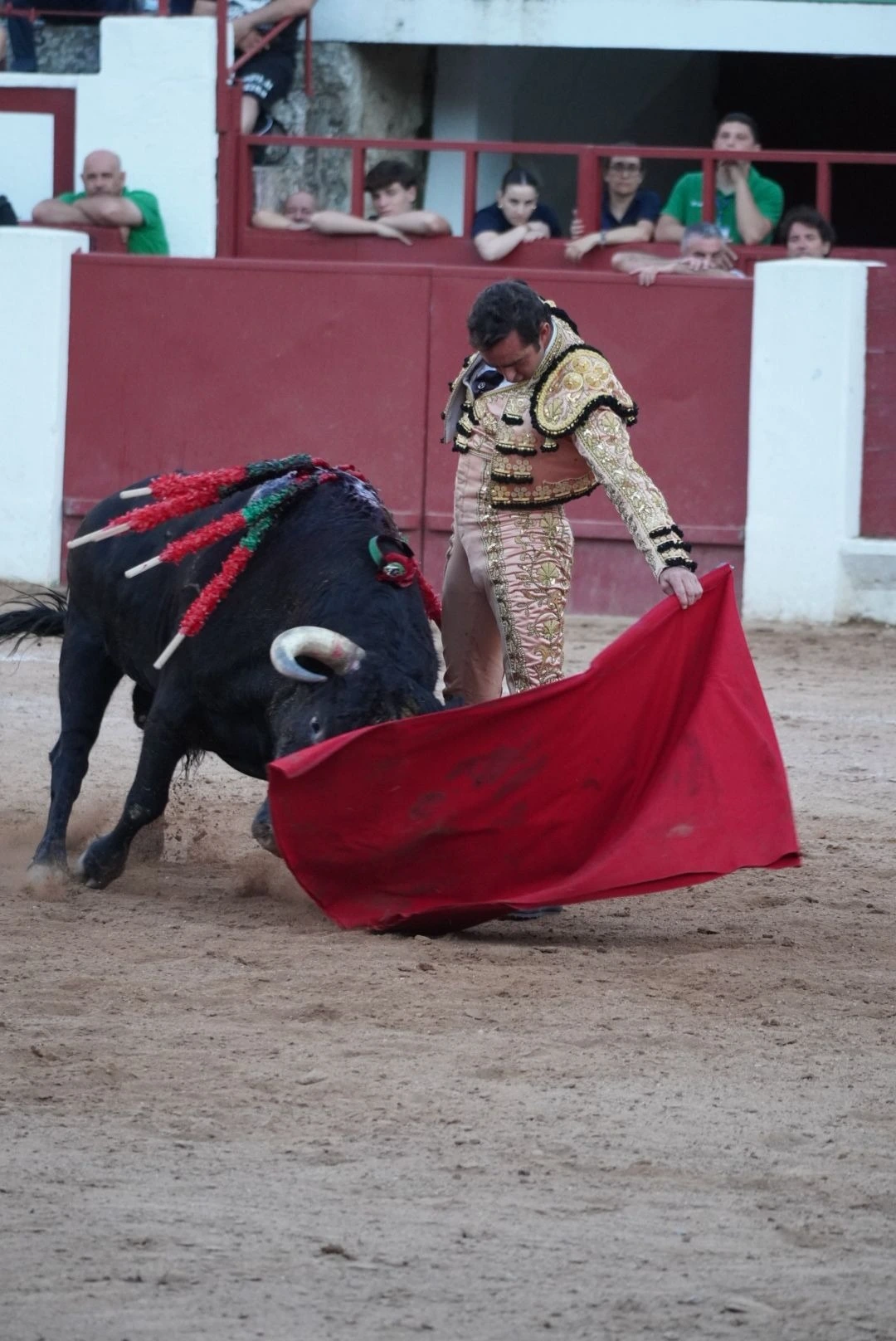 Imagen 8