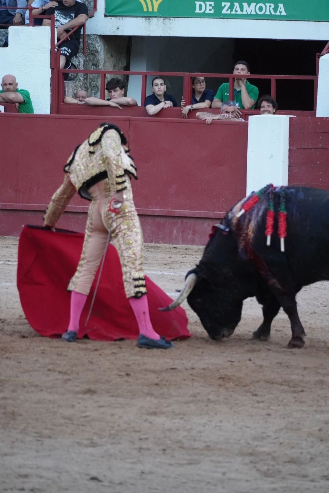 Imagen 9