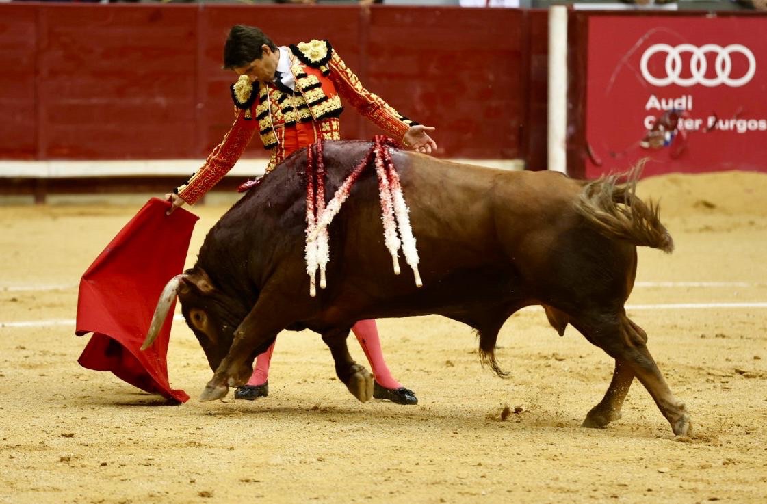 Imagen 2