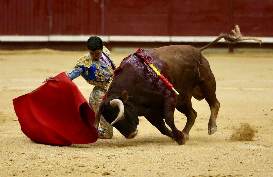 Imagen 5
