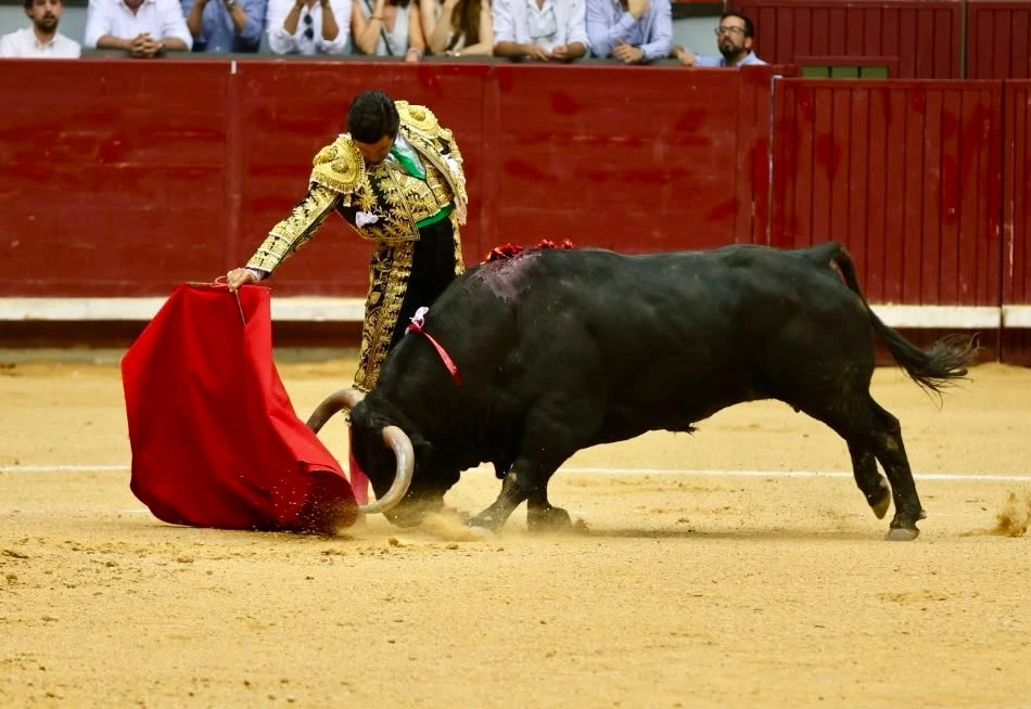 Imagen 2