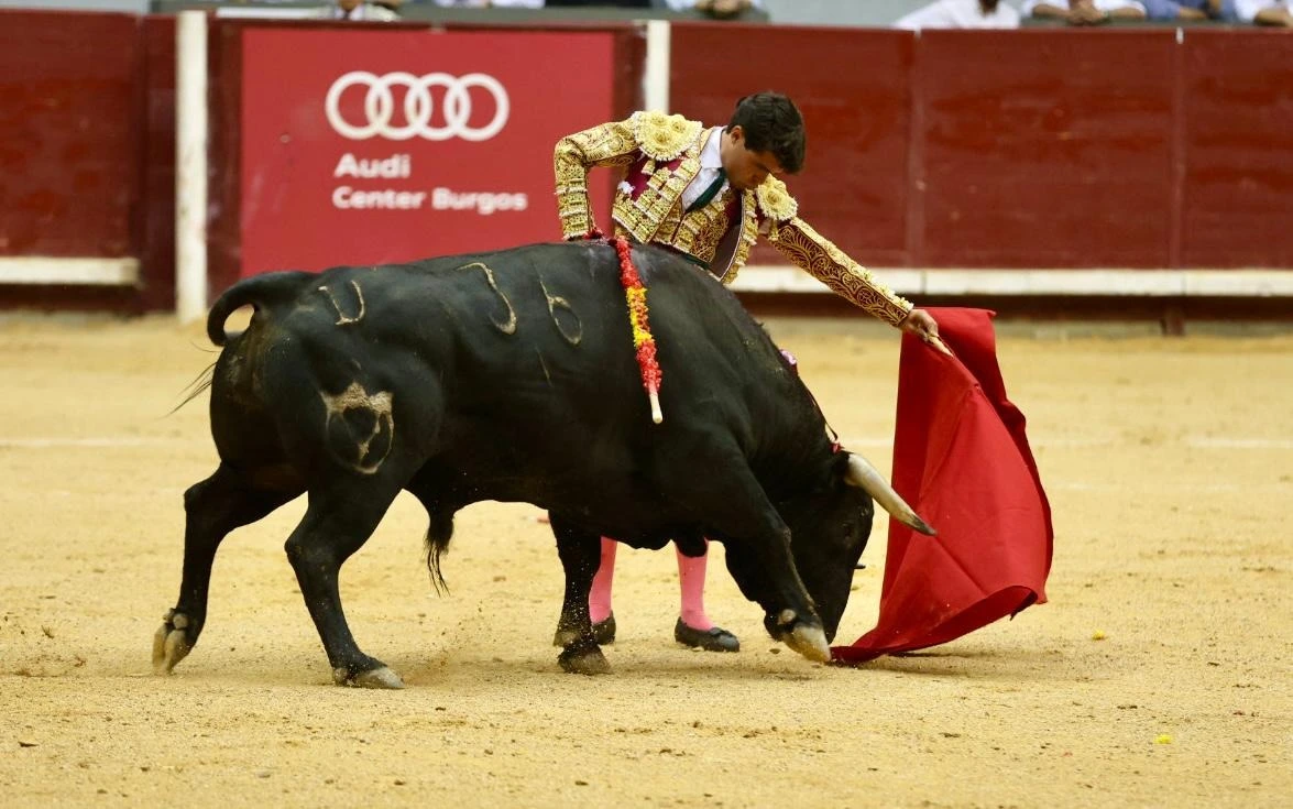 Imagen 4