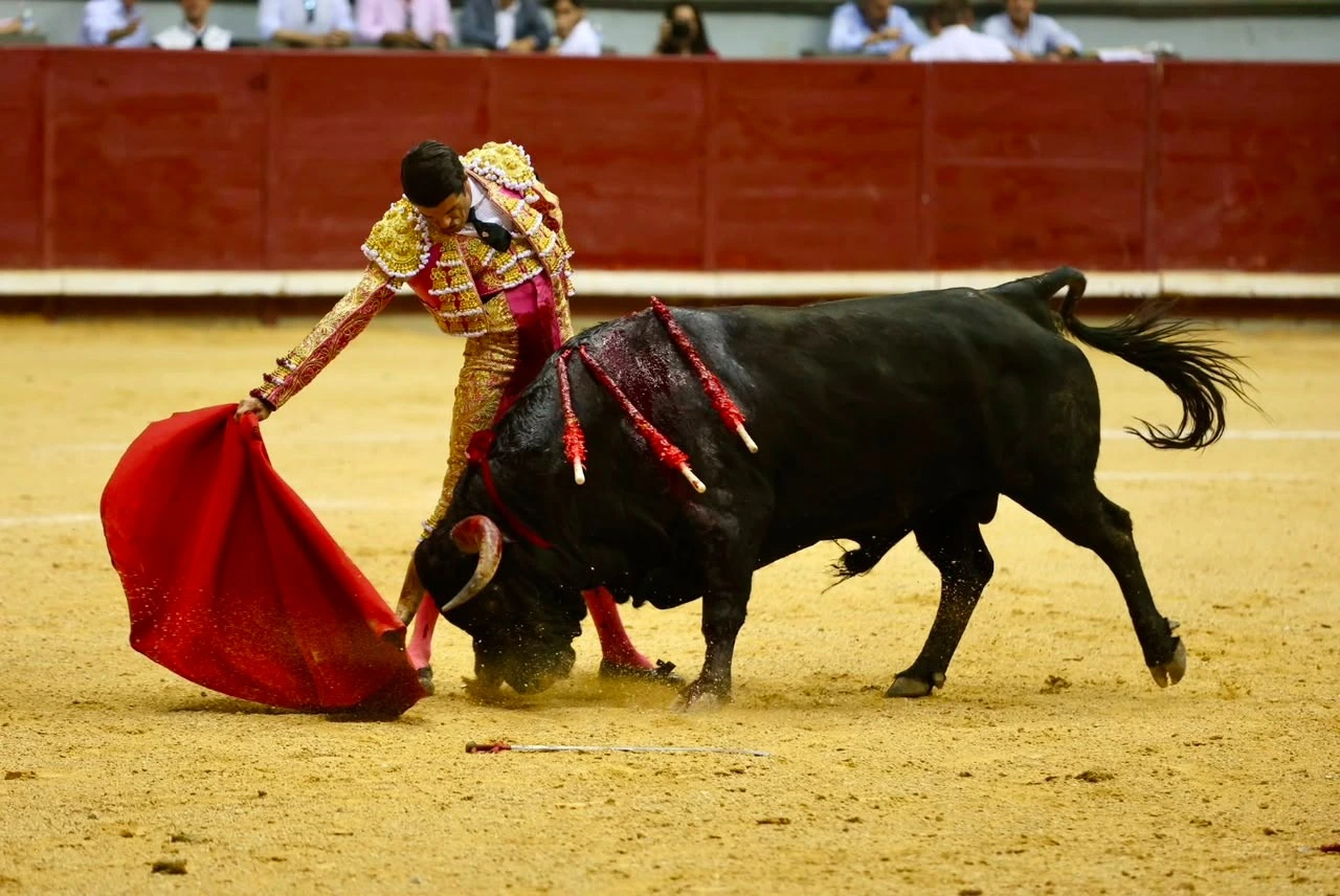 Imagen 7
