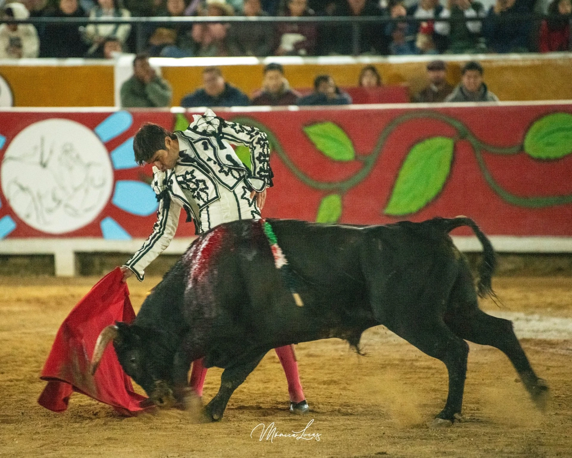 Imagen 2