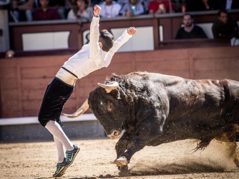 El Campeonato de España de Recortadores aterriza en Las Ventas