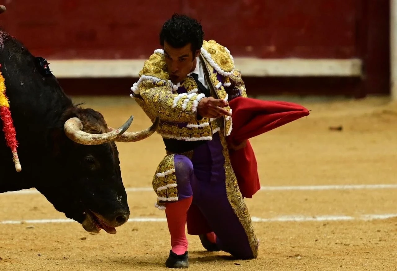 Imagen 1