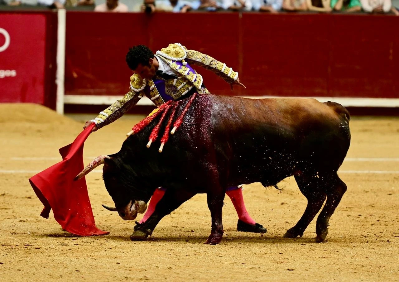 Imagen 2