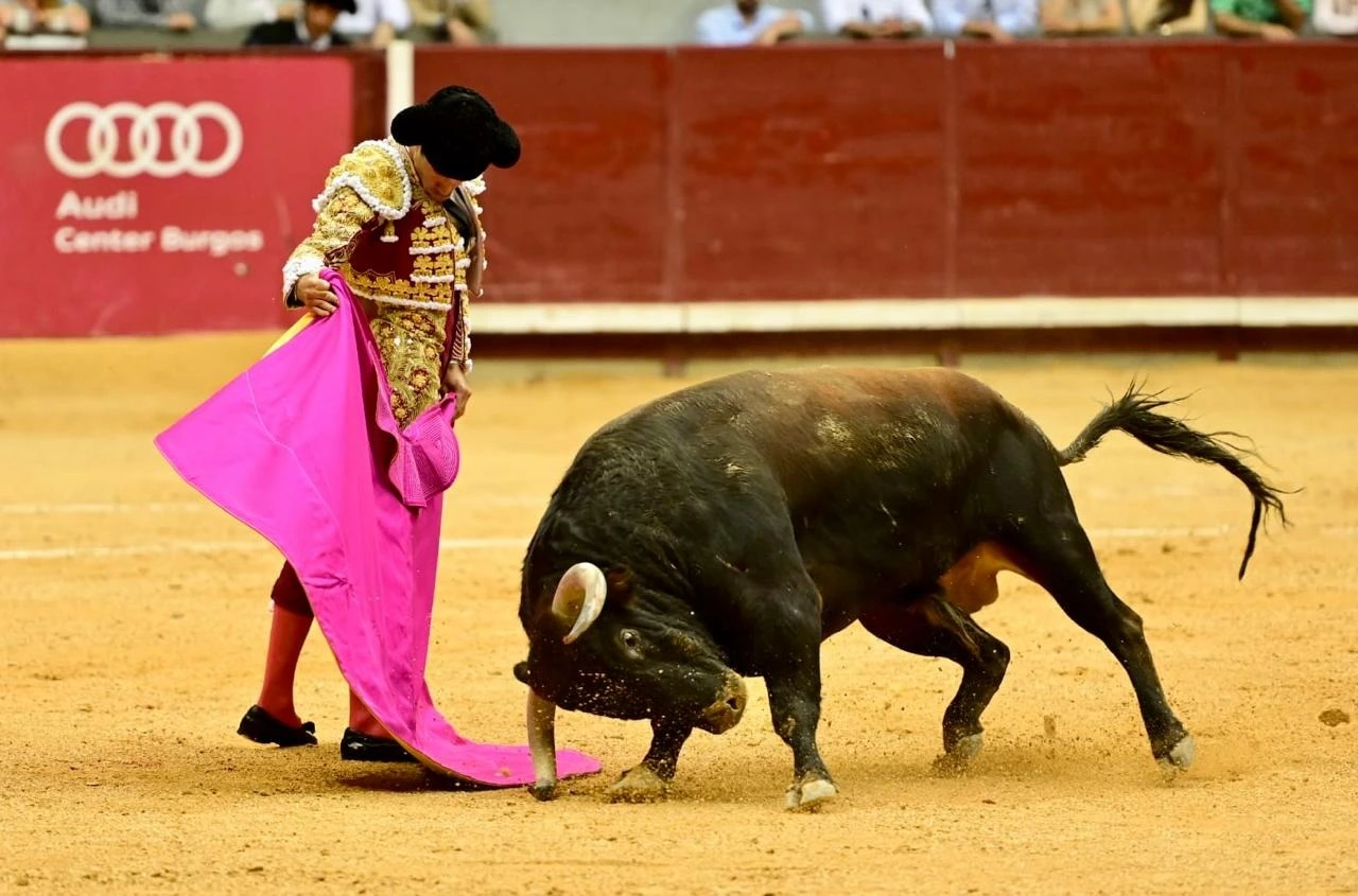 Imagen 5