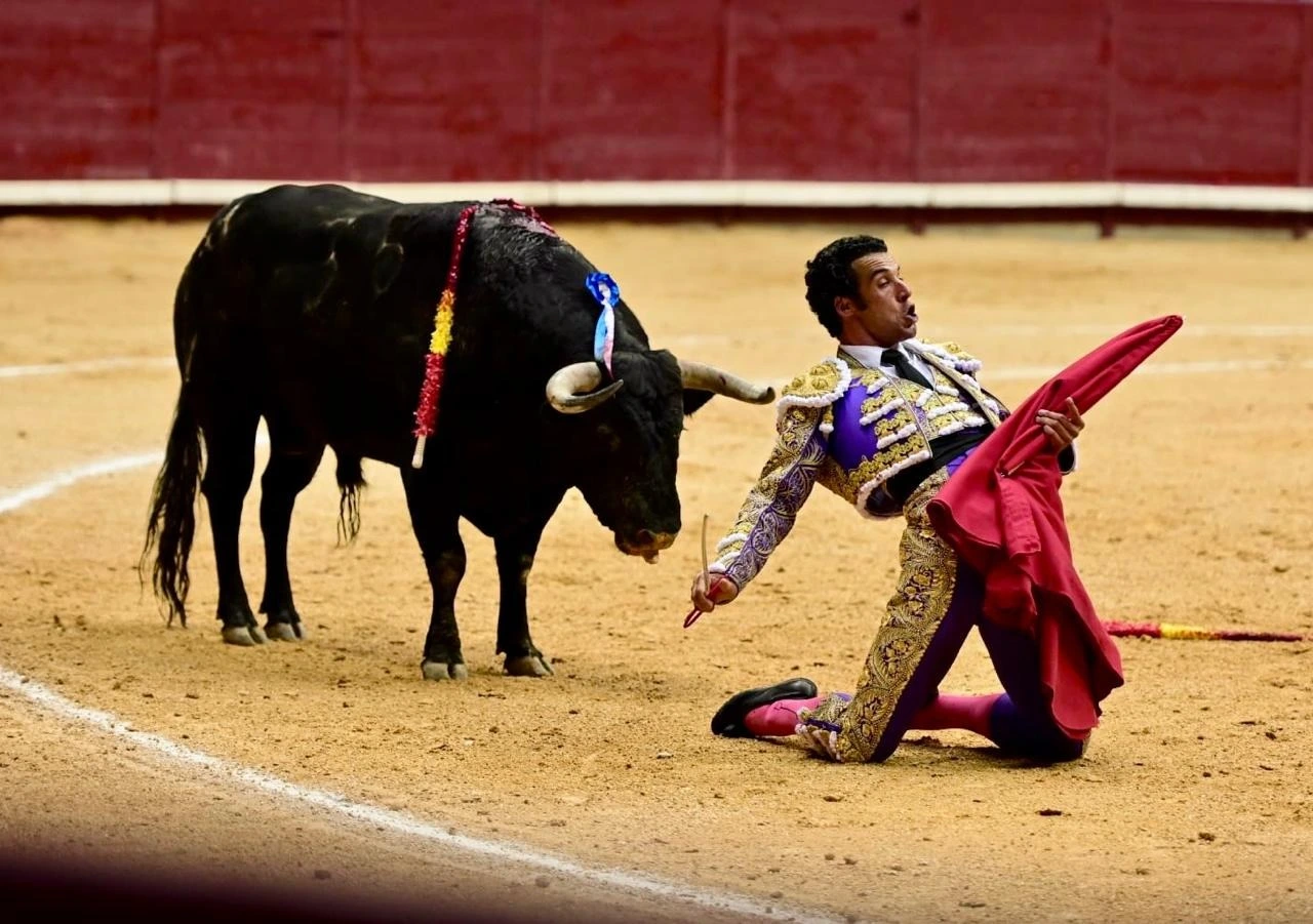 Imagen 7