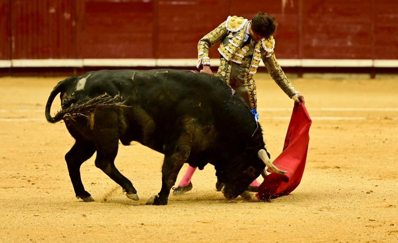 Imagen 8