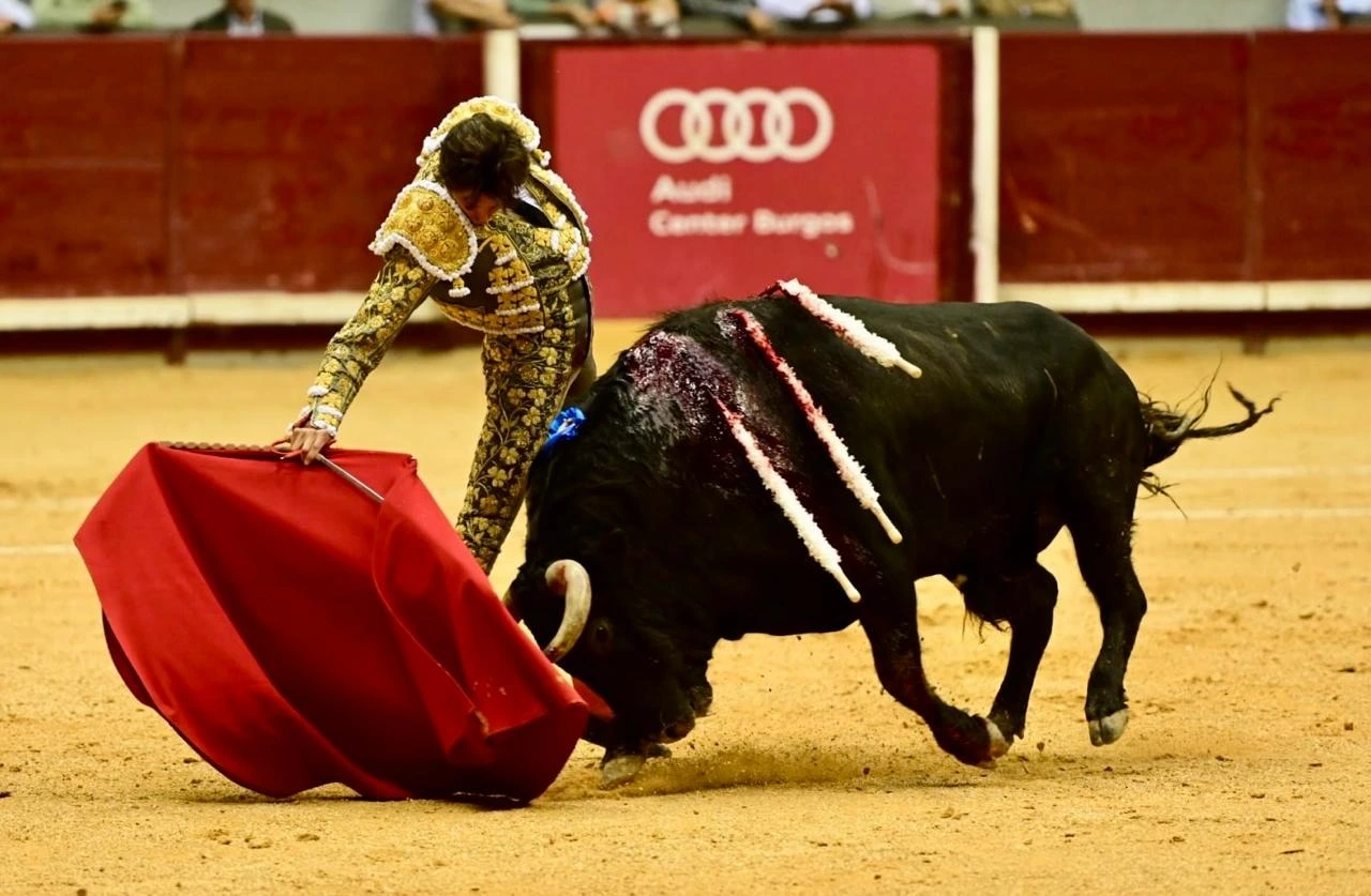 Imagen 9