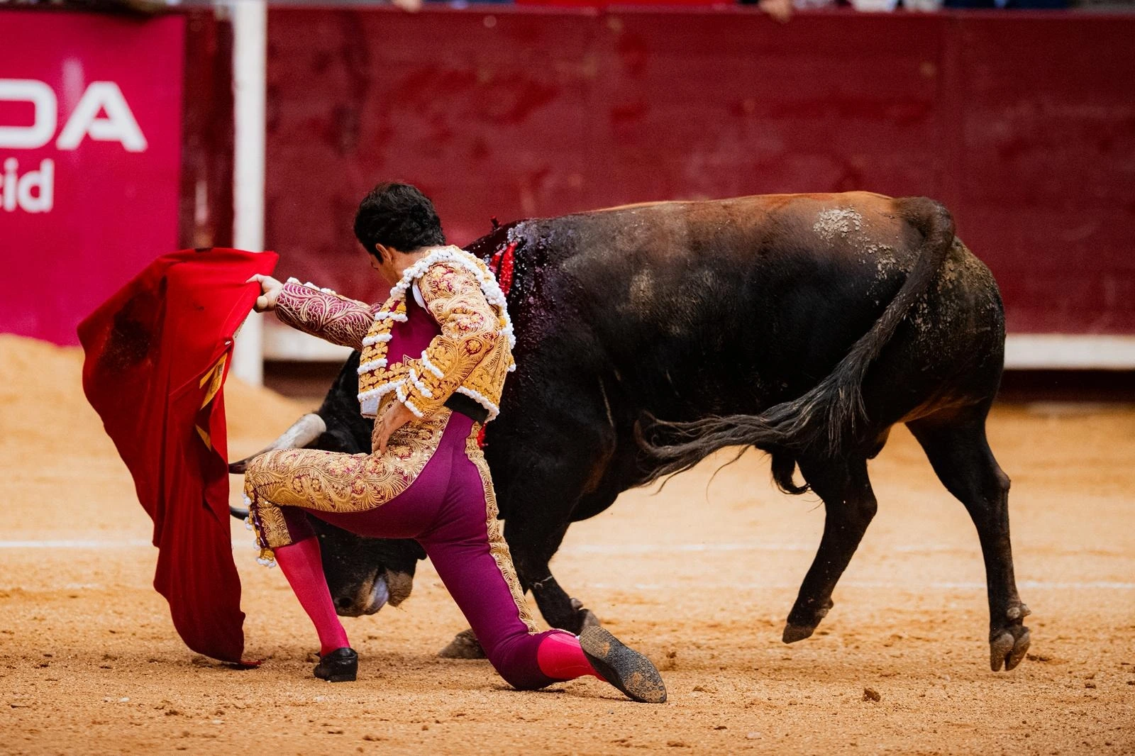 Imagen 10