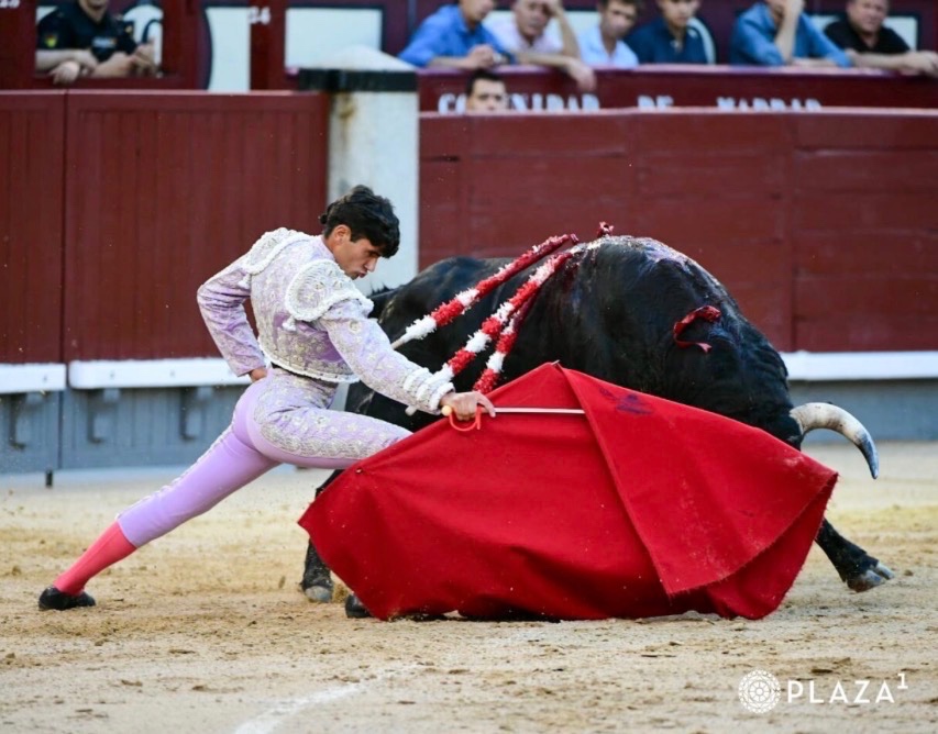 Imagen 2