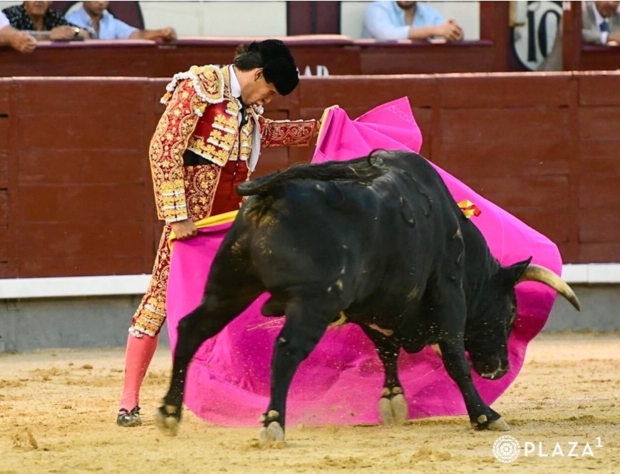 Imagen 3