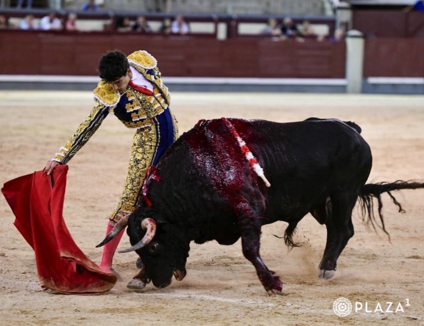 Imagen 4
