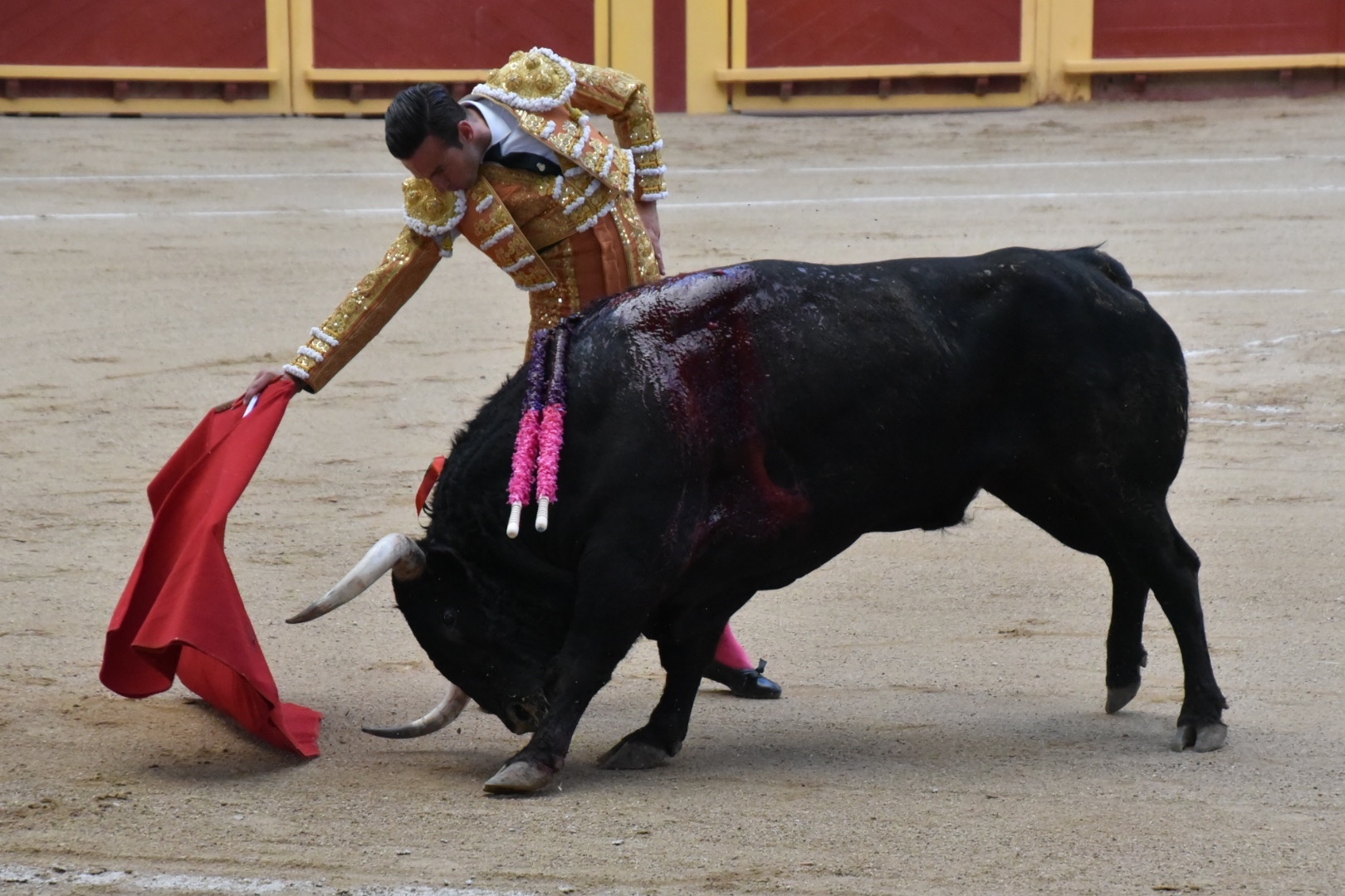 Imagen 1