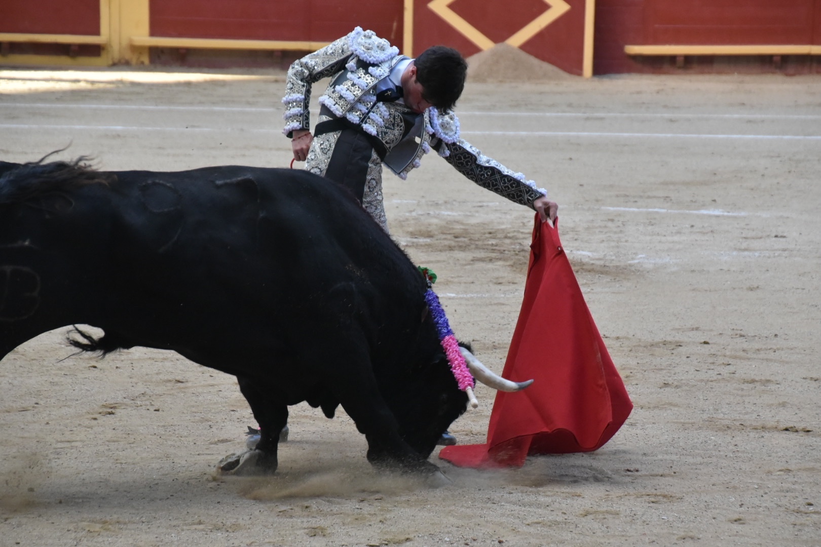 Imagen 2