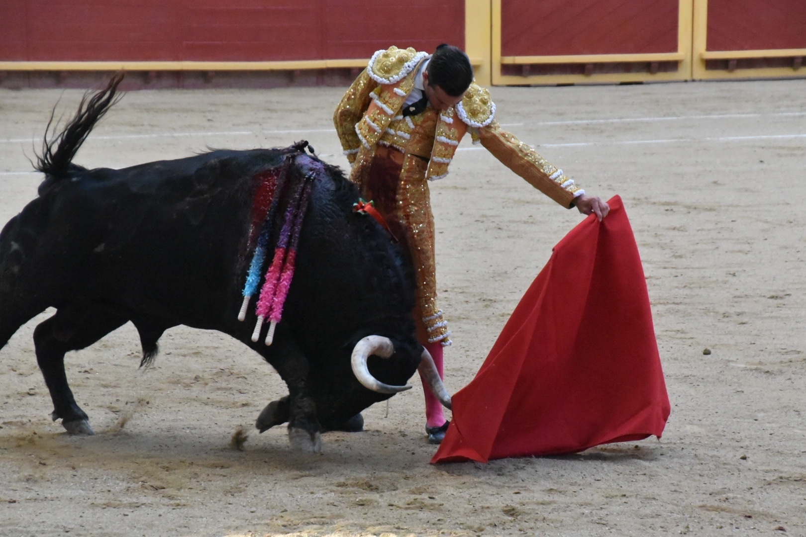 Imagen 4