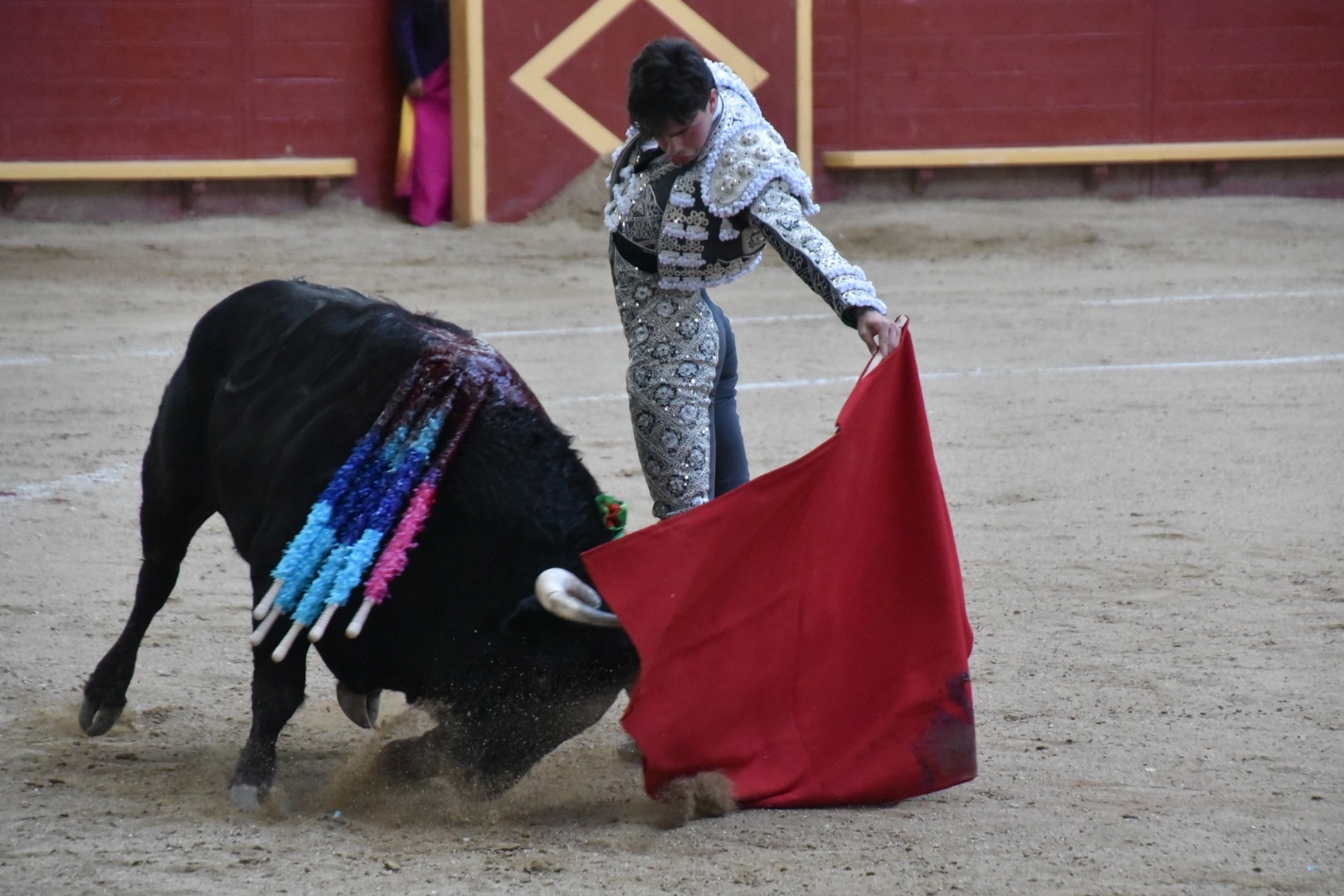 Imagen 5