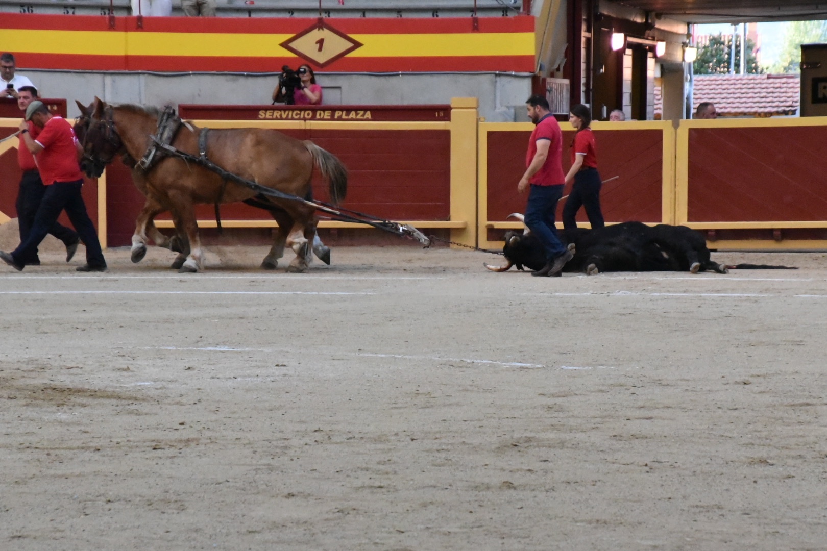 Imagen 6