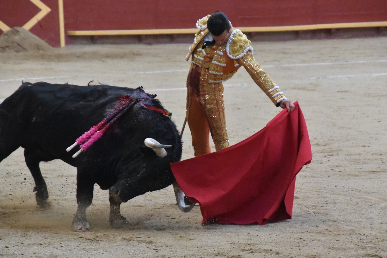 Imagen 7