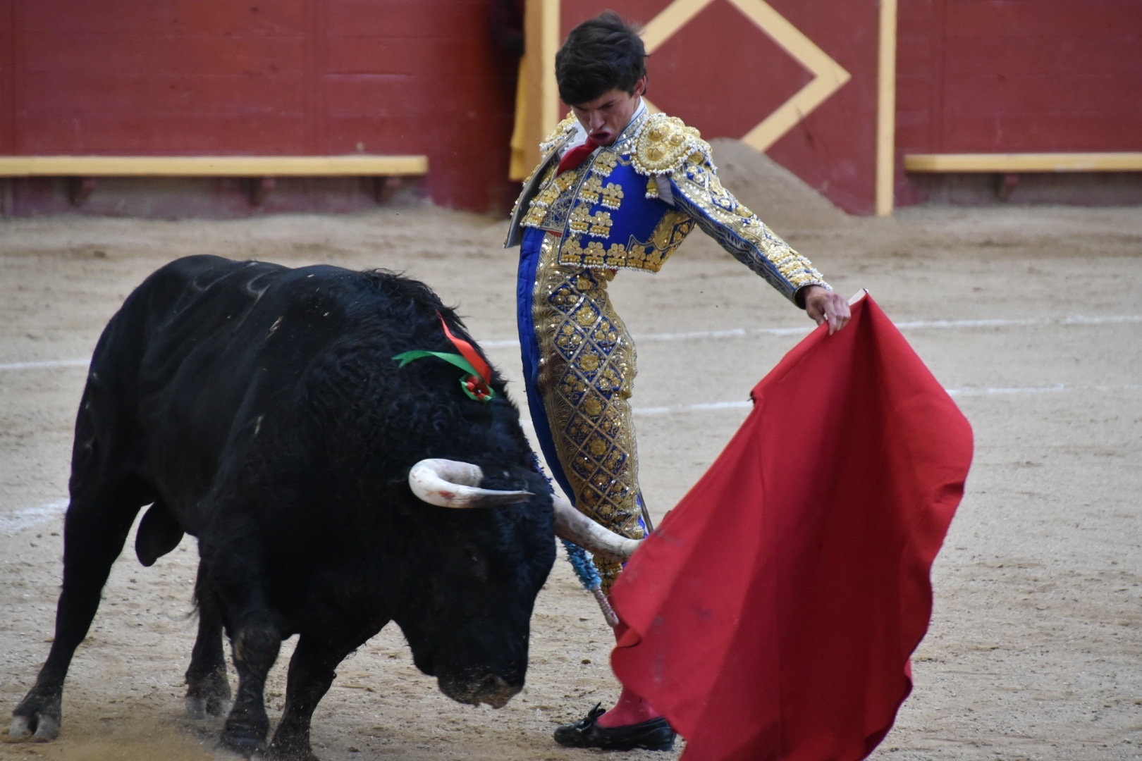 Imagen 8
