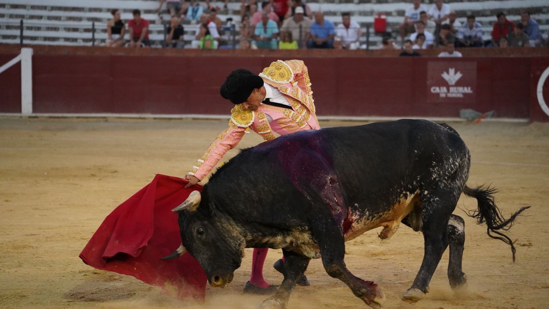Imagen 1