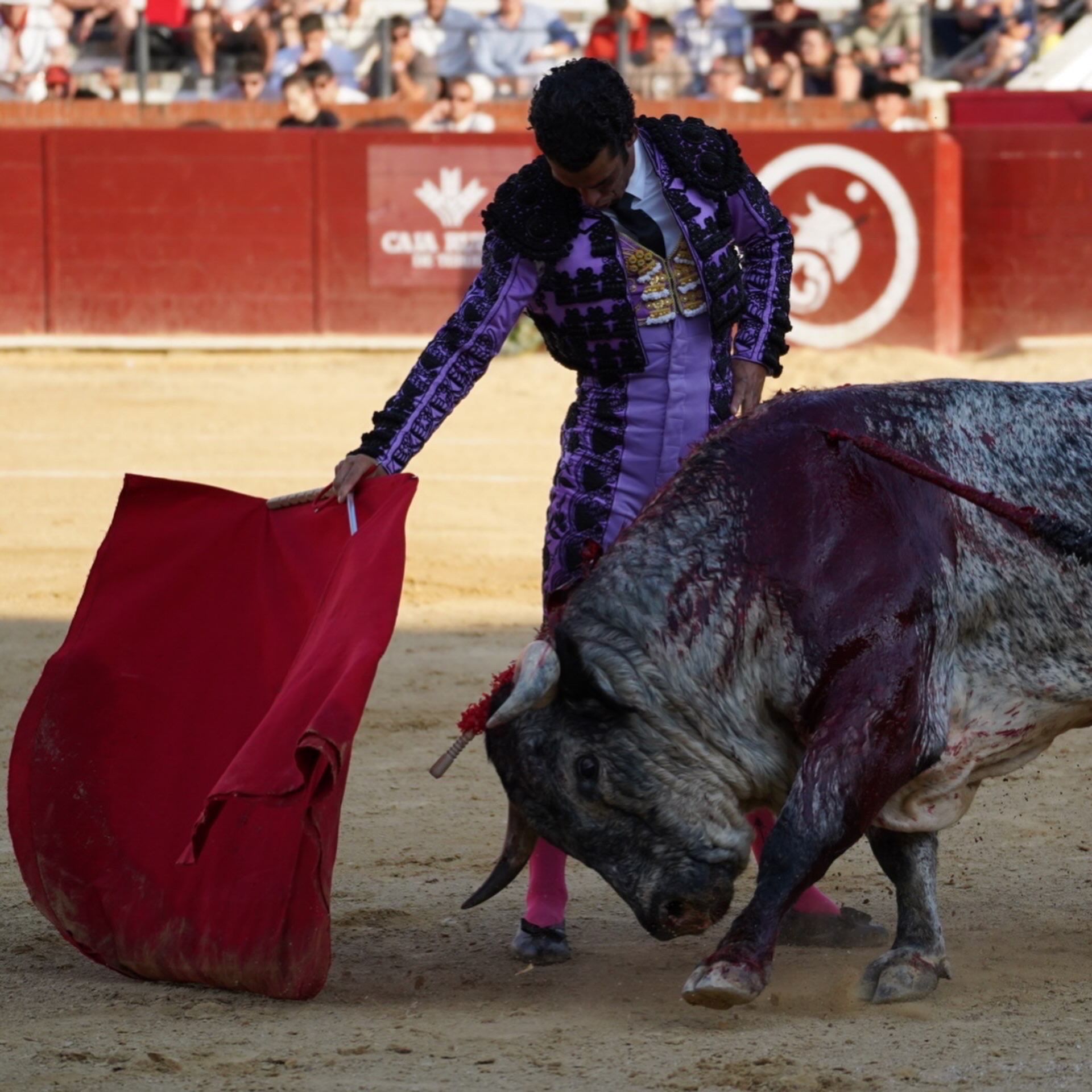 Imagen 2