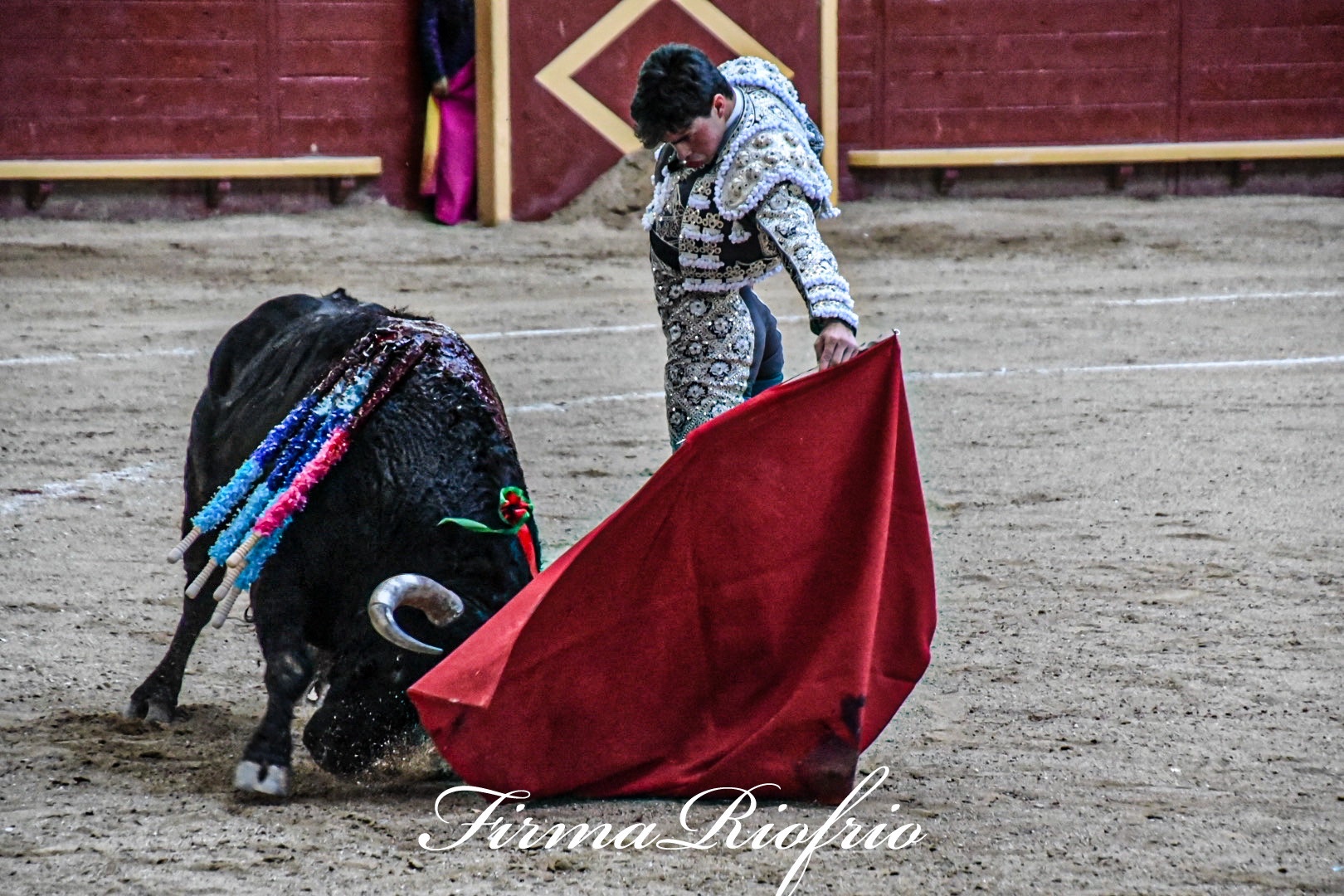 Imagen 2