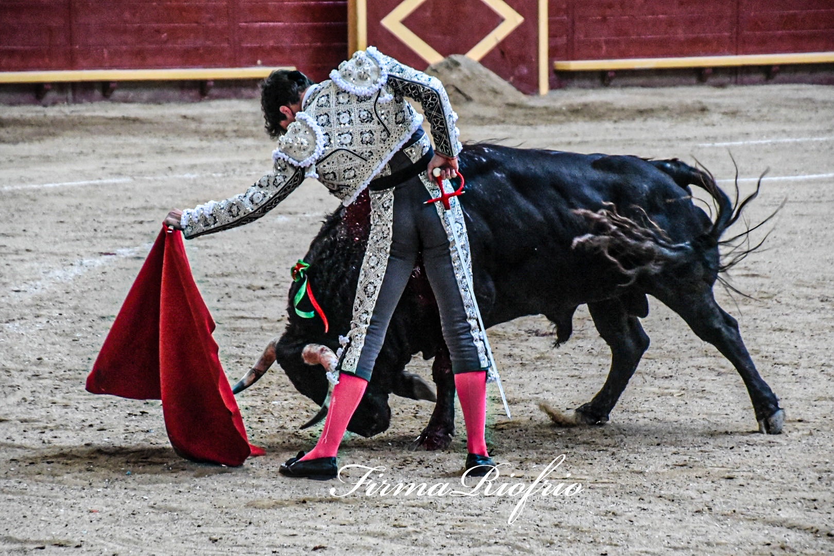 Imagen 3