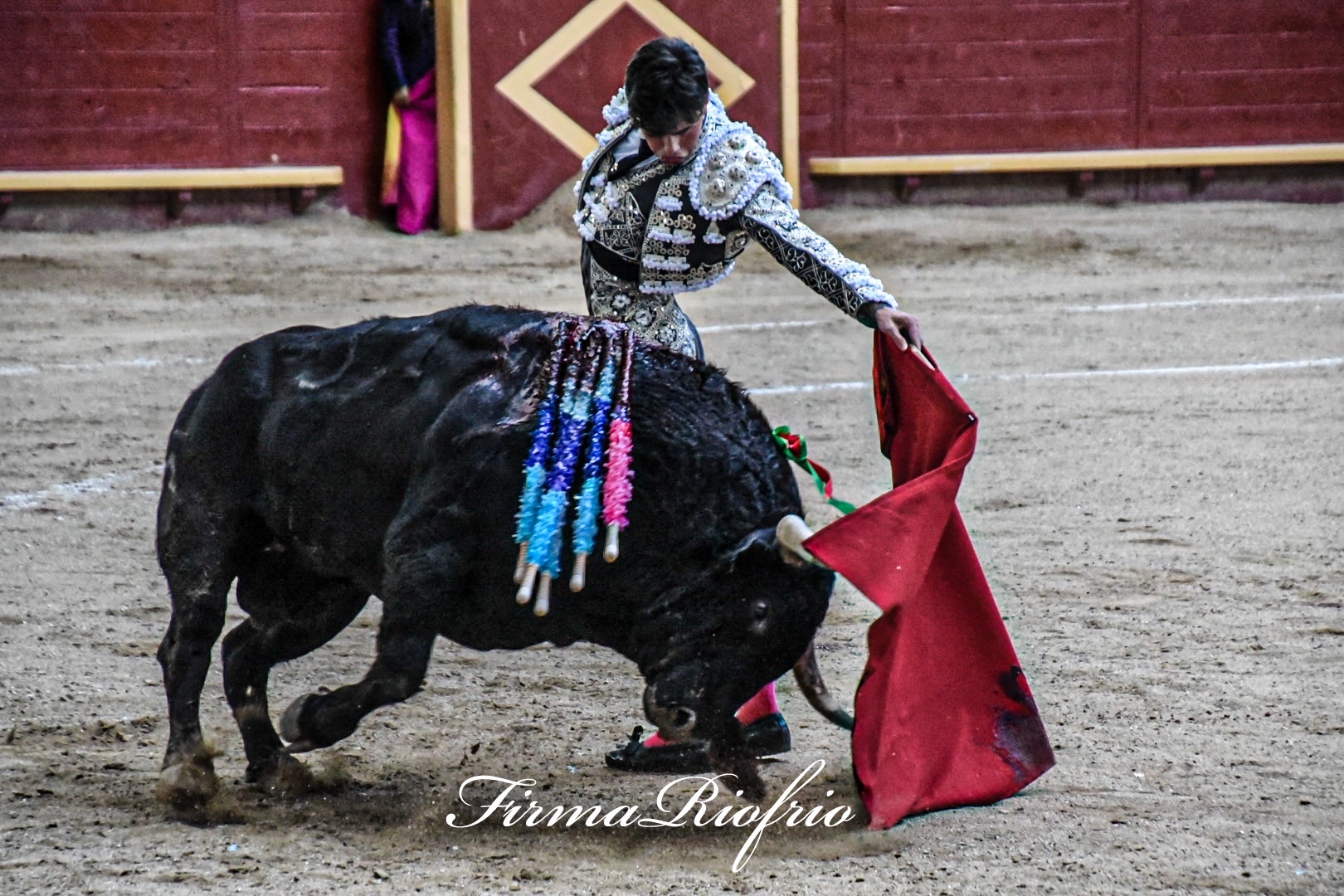 Imagen 4