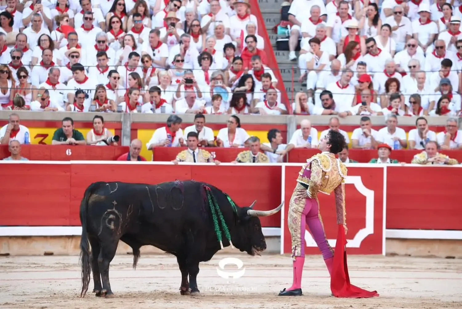 Imagen 5