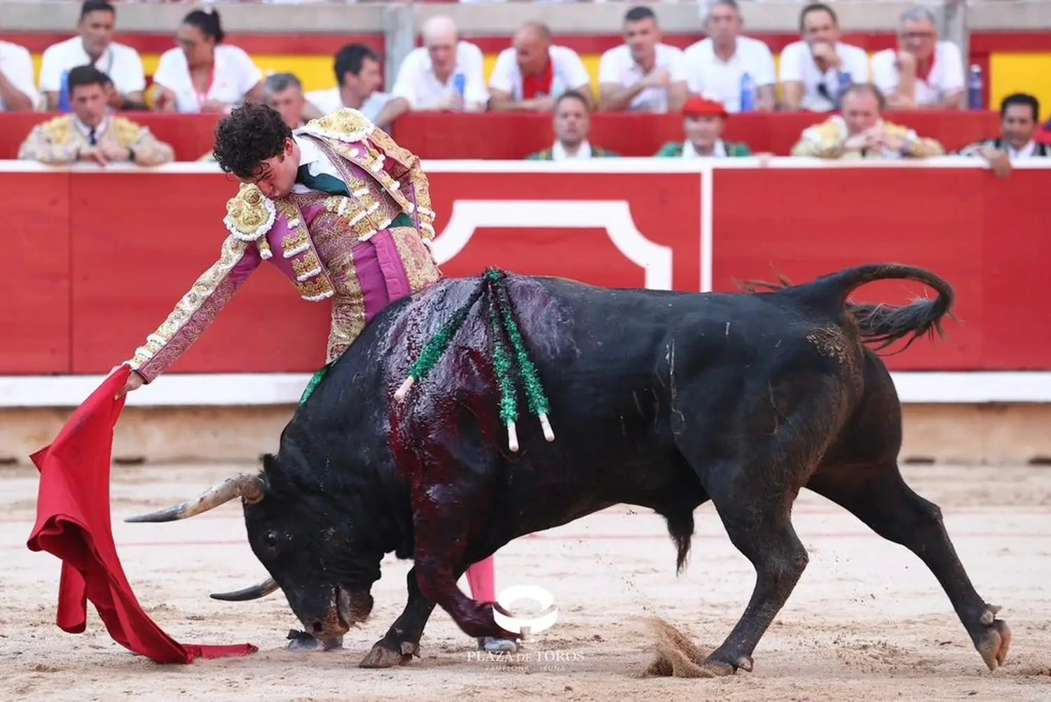 Imagen 6