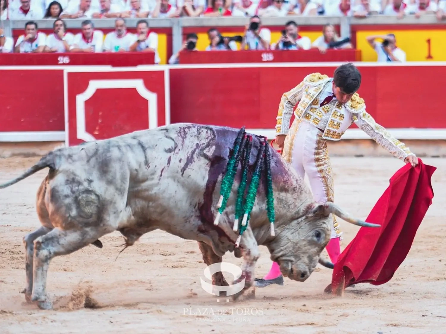 Imagen 7