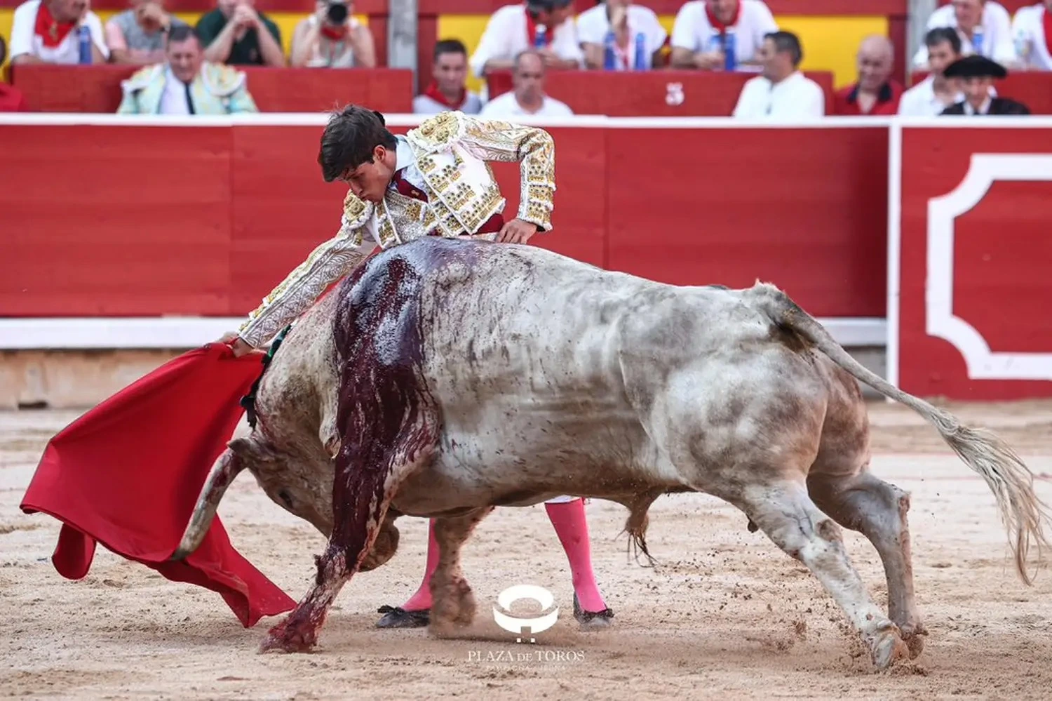 Imagen 9