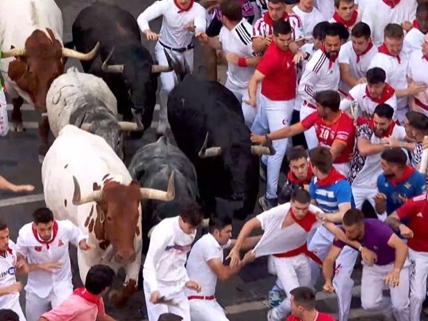 Atípico y rápido encierro de los Cebada Gago en Pamplona