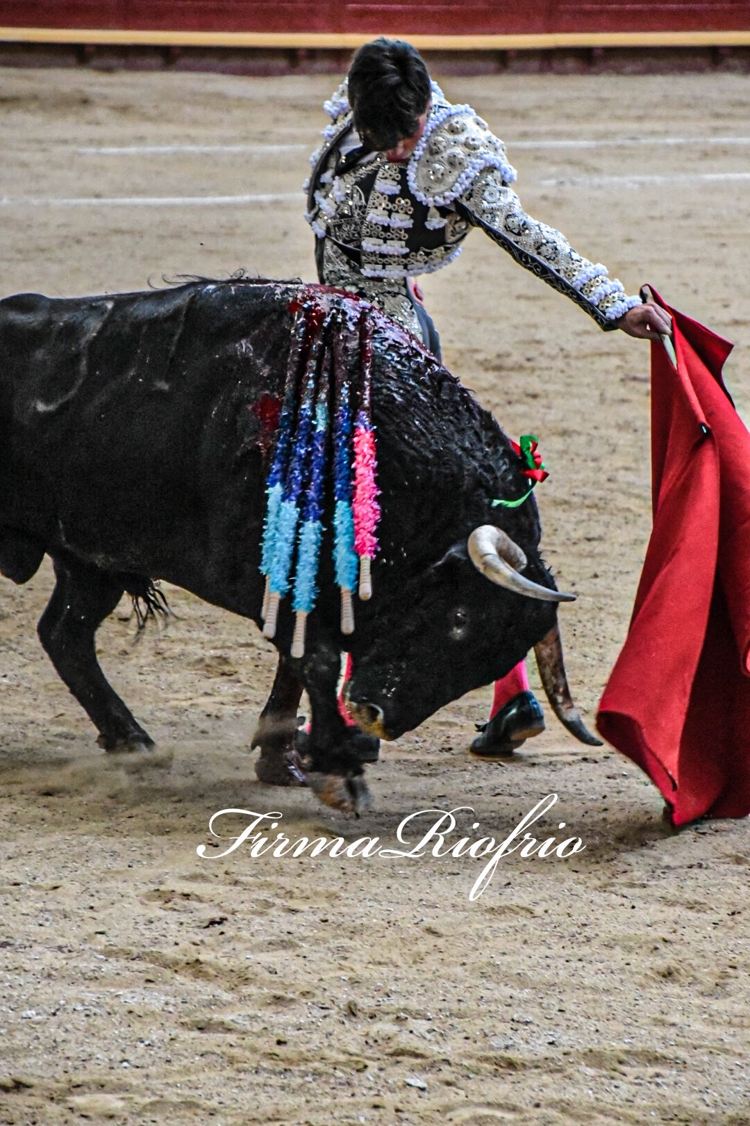 Imagen 2