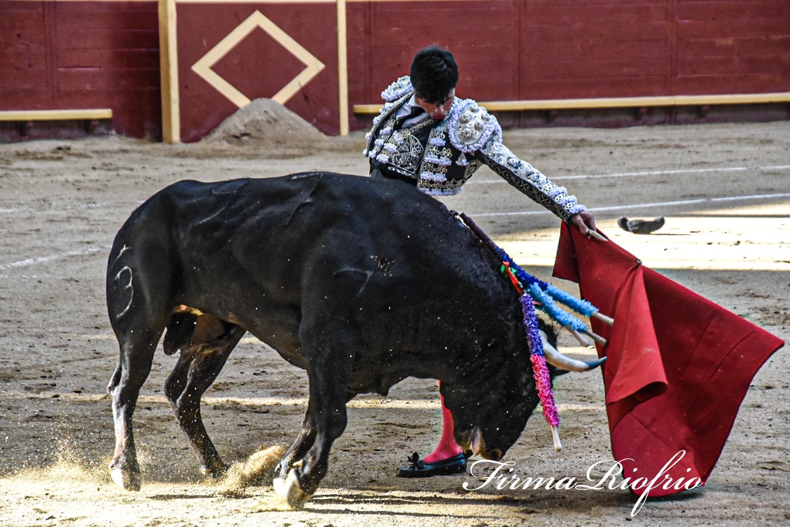 Imagen 5