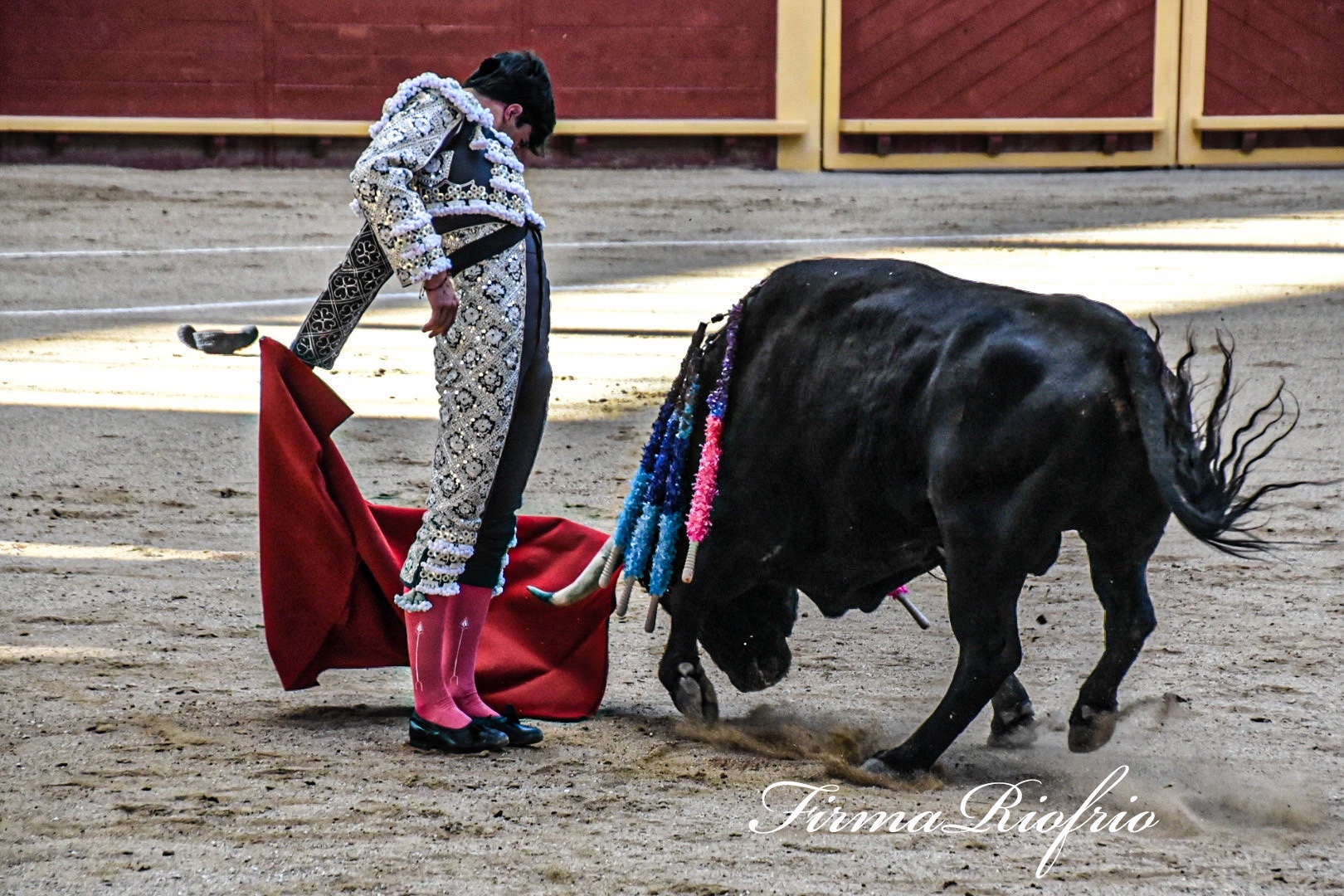Imagen 6