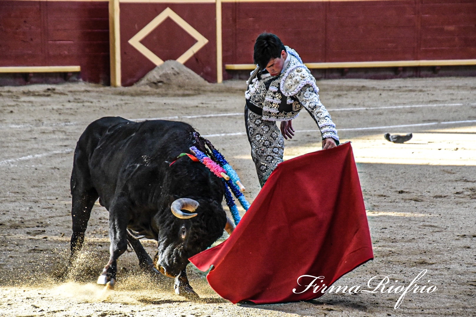 Imagen 7
