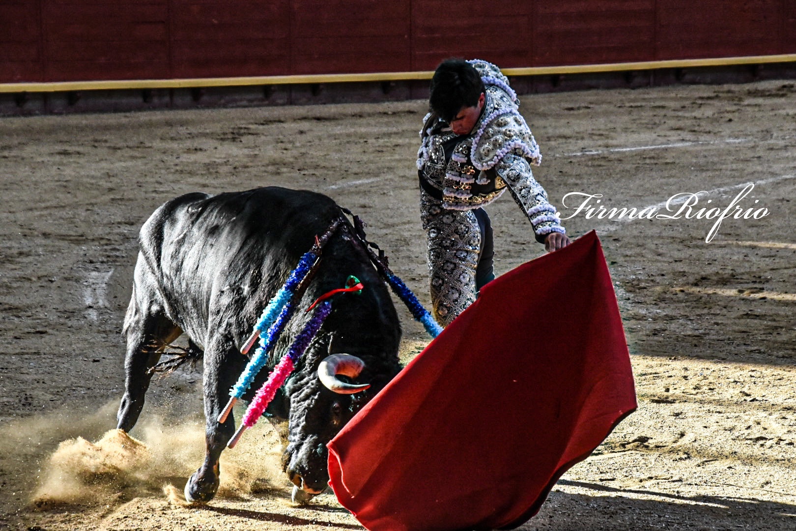 Imagen 8